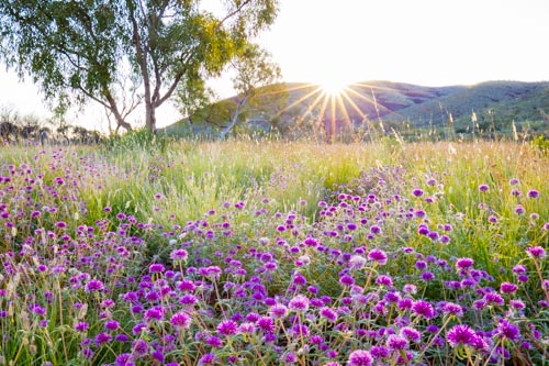 karijini ningaloo photo tour example 8